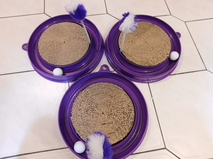 Catit Katzenspielzeug Play n Scratch mit Katzenminze