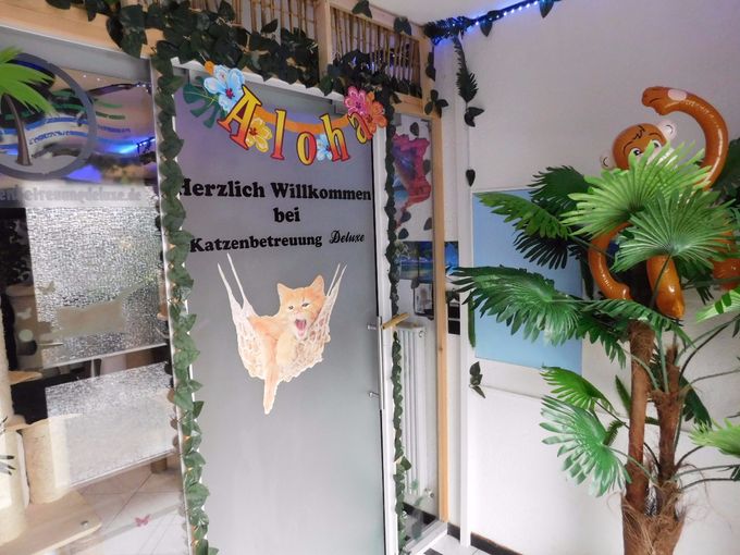 Unser  neuer Eingangsbereich 