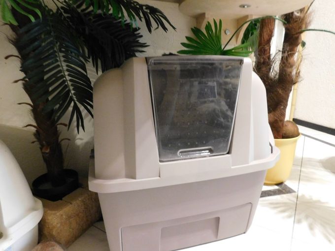 Catit Smart Sift selbstreinigende Katzentoilette, inklusive 4 Einlagen
Einfach & schnell: Hebel einmal täglich ziehen
einmal wöchentlich den herausziehbaren Müllbeutel austauschen
Herausziehbarer Müllbeutel
Durchsieben der Katzenstreu ist nicht mehr notwendig
Geeignet für alle Klumpstreusorten