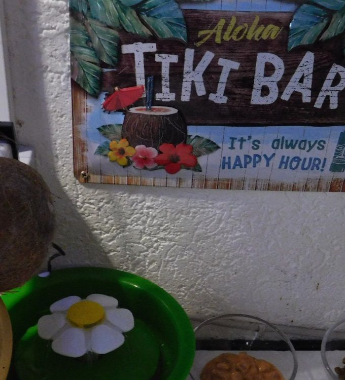 ... Unsere TIKI BAR mit dem speziellen Karibik Flair 