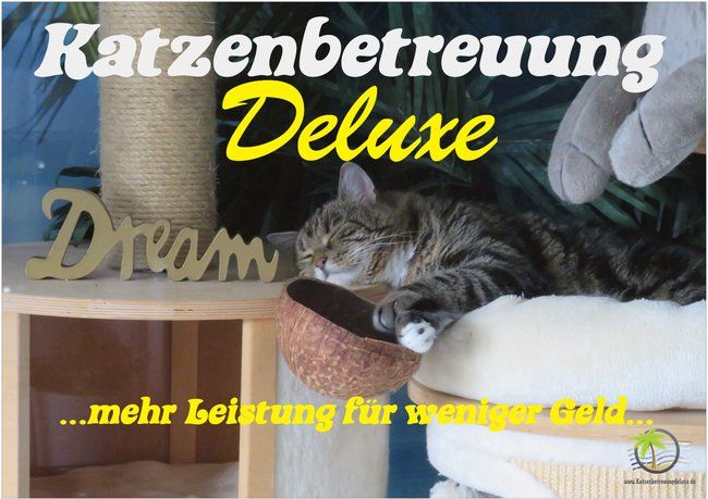 Fast 2000 zufriedene Kunden trotz Corona können einfach  nicht irren ...