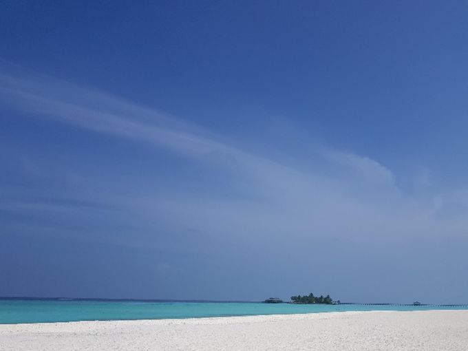 Haben Sie ihren Traumurlaub bereits gebucht ?