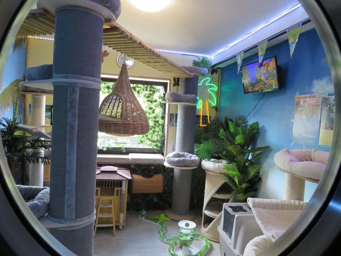 Pünktlich zur Saison erstrahlt unsere Wellness Lounge im neuen Glanz...
